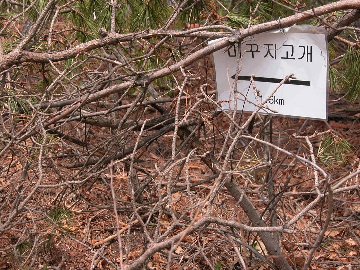 고려산주유소 이미지