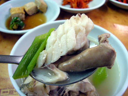 찌개지존 이미지