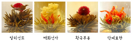 모리화 이미지