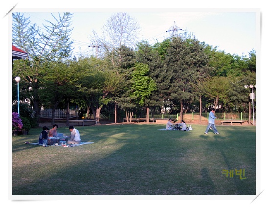 금남멧돼지 이미지