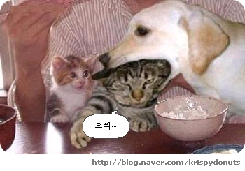 미소 이미지