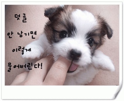 양촌리생삼겹살 이미지