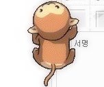몽코 이미지