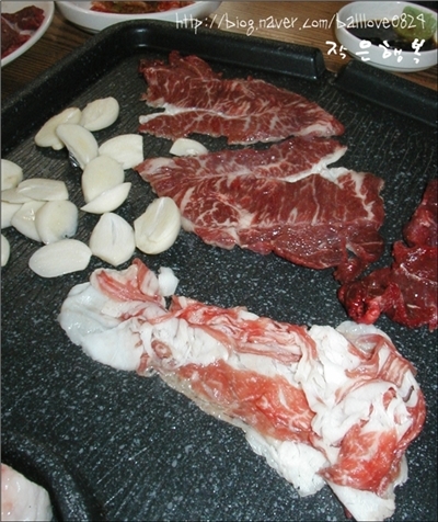 지보참우마을 이미지