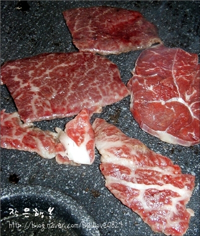 지보참우마을 이미지