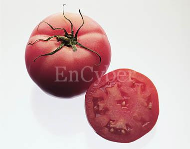 토마토치과 이미지