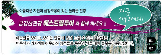 에스투어주식회사 이미지
