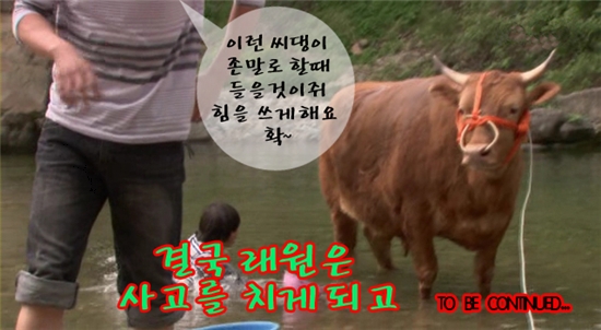 육객 이미지