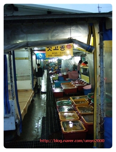 설악수산 이미지