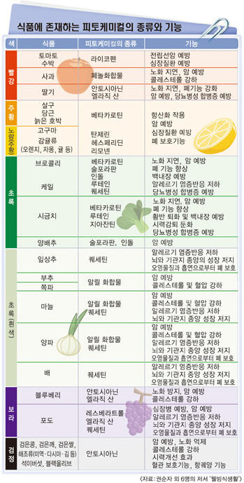 컬러푸드 이미지