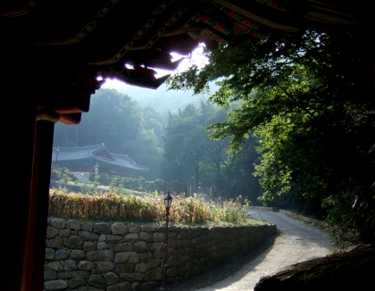 정*웅 이미지