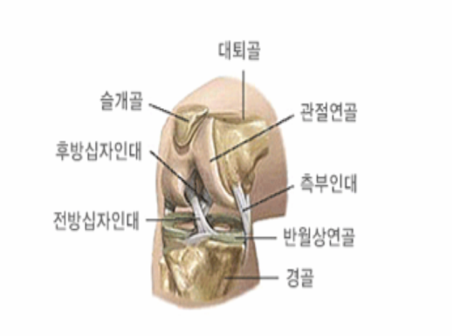 강서기전 이미지