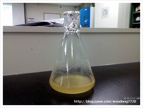 Nutrient Agar 배지 (사진) : 네이버 블로그