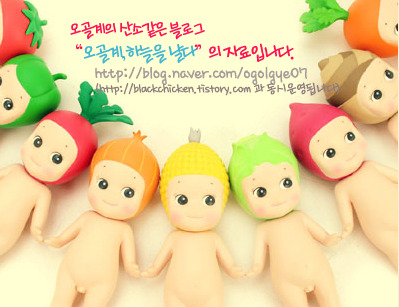 비타민열쇠 이미지