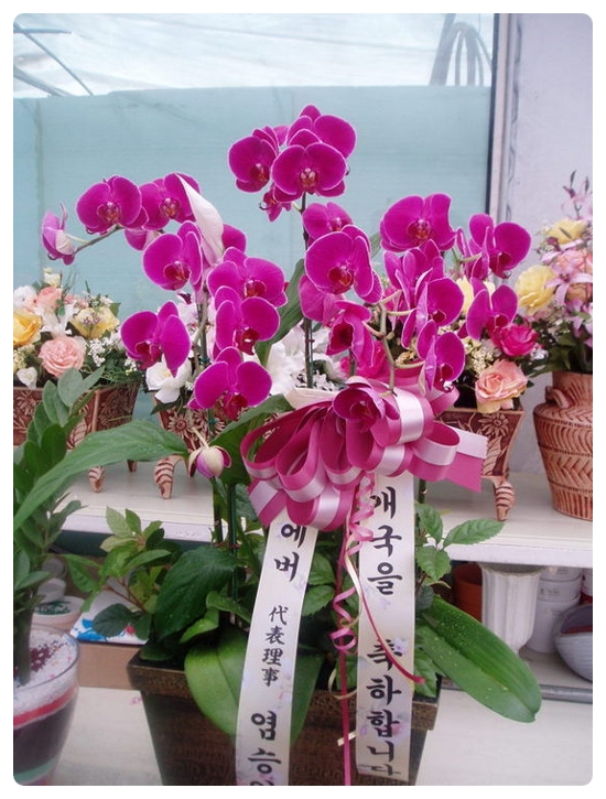 한솔내과의원 이미지