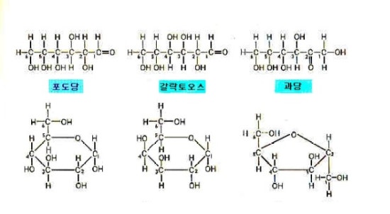 이당류(disaccharide)란? : 네이버 블로그